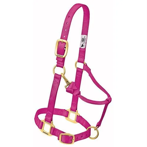 Adjustable Halters ~ Average