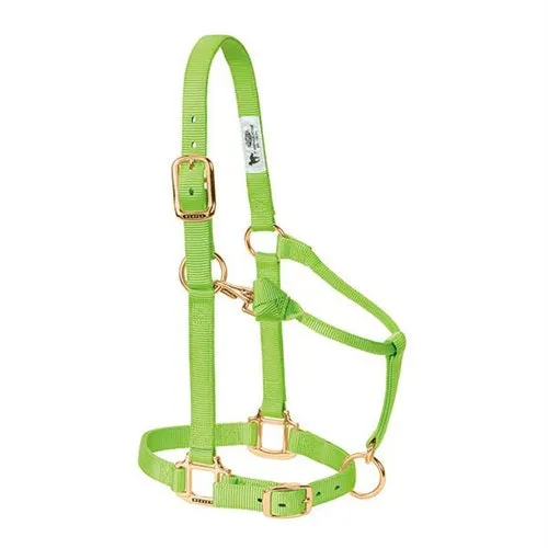 Adjustable Halters ~ Average