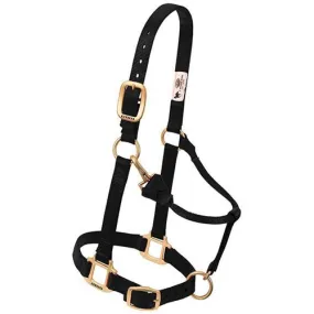 Adjustable Halters ~ Wealing