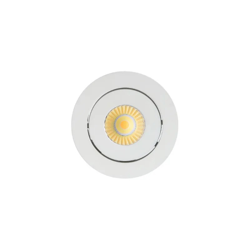 Aluminium Adjustable Flush LED Downlight | Assorted Finish | TRIColour