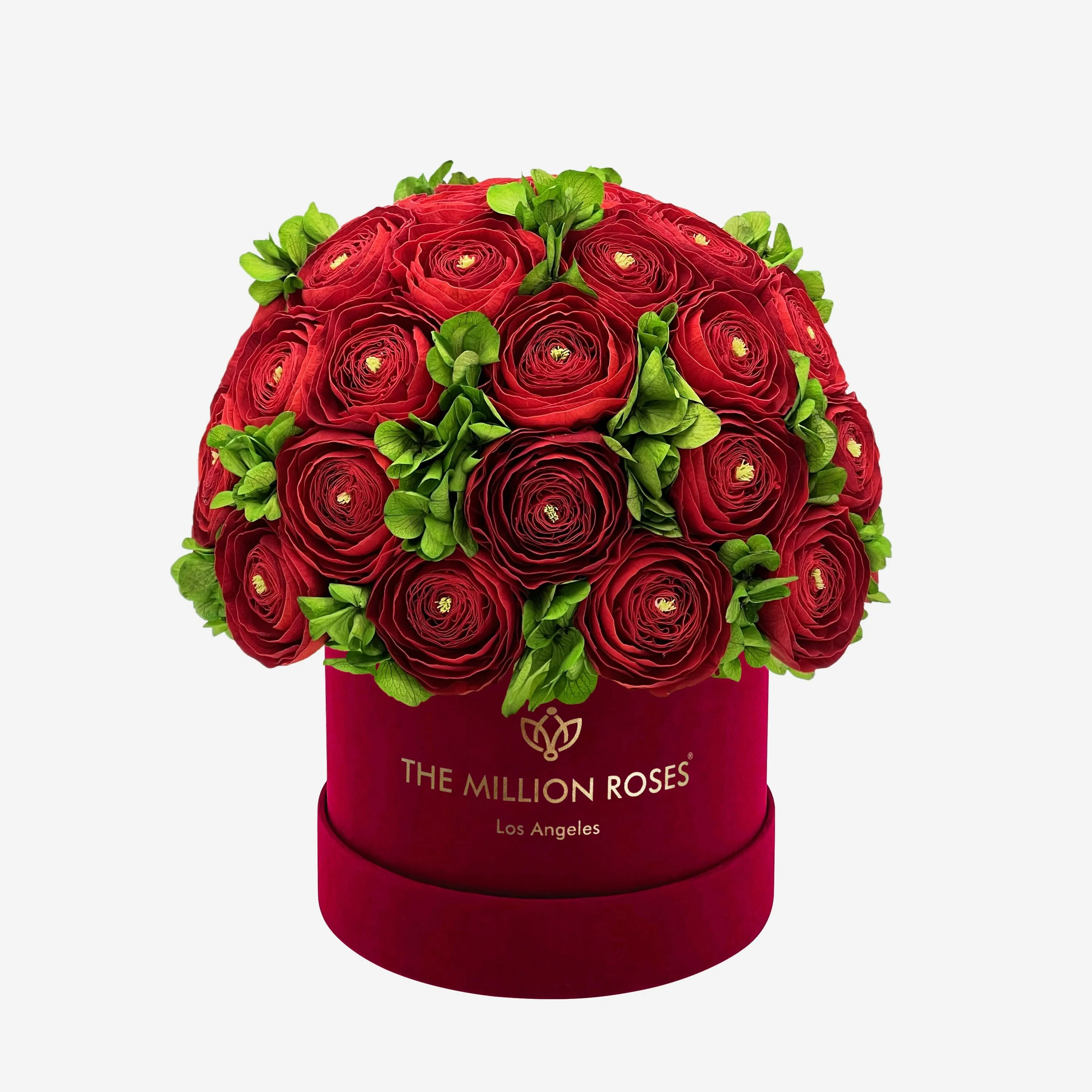 Classic Bordeaux Suede Box | Red Persian Buttercups & Green Hydrangeas