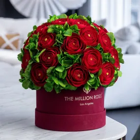 Classic Bordeaux Suede Box | Red Persian Buttercups & Green Hydrangeas