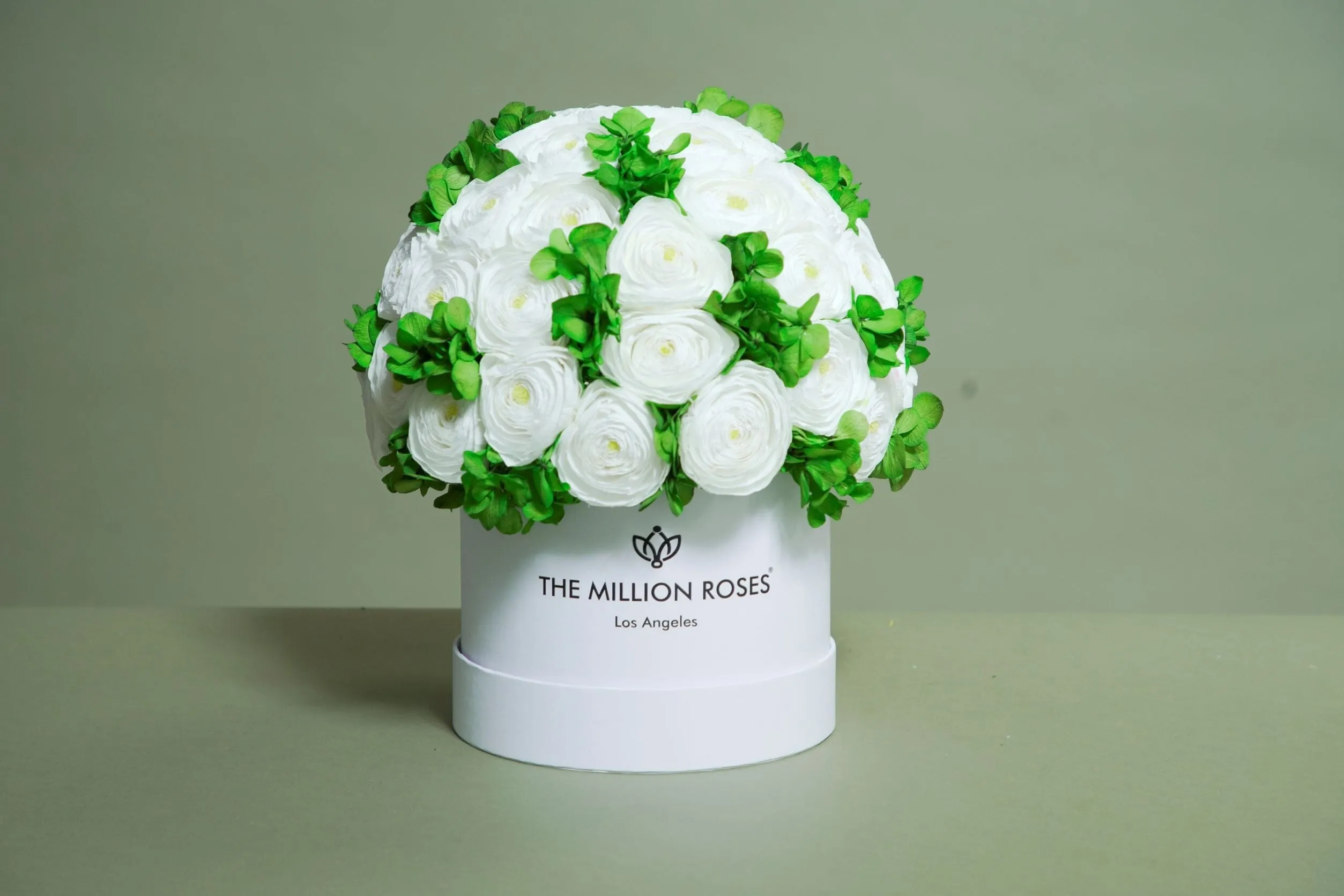 Classic Bordeaux Suede Box | White Persian Buttercups & Green Hydrangeas