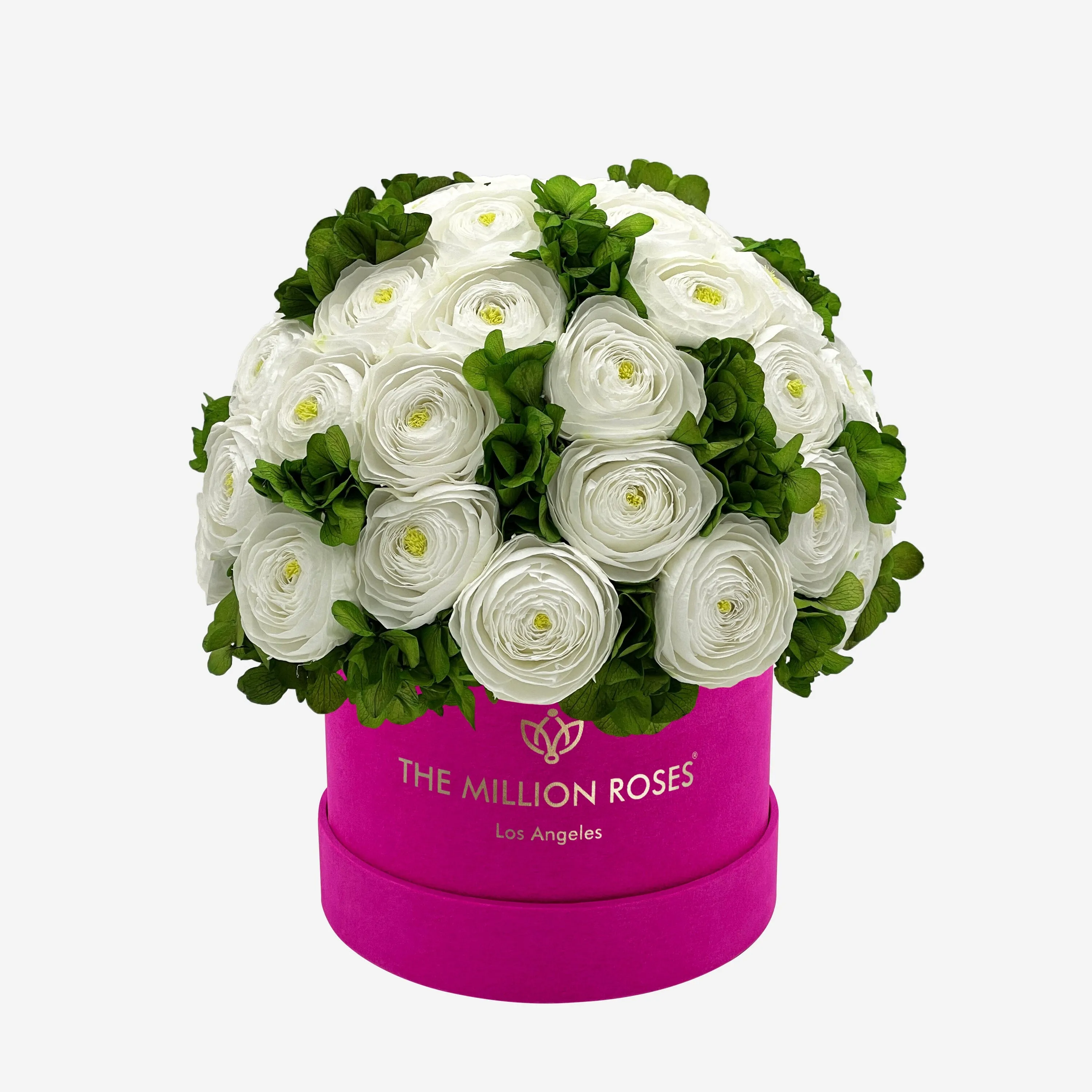 Classic Hot Pink Suede Box | White Persian Buttercups & Green Hydrangeas