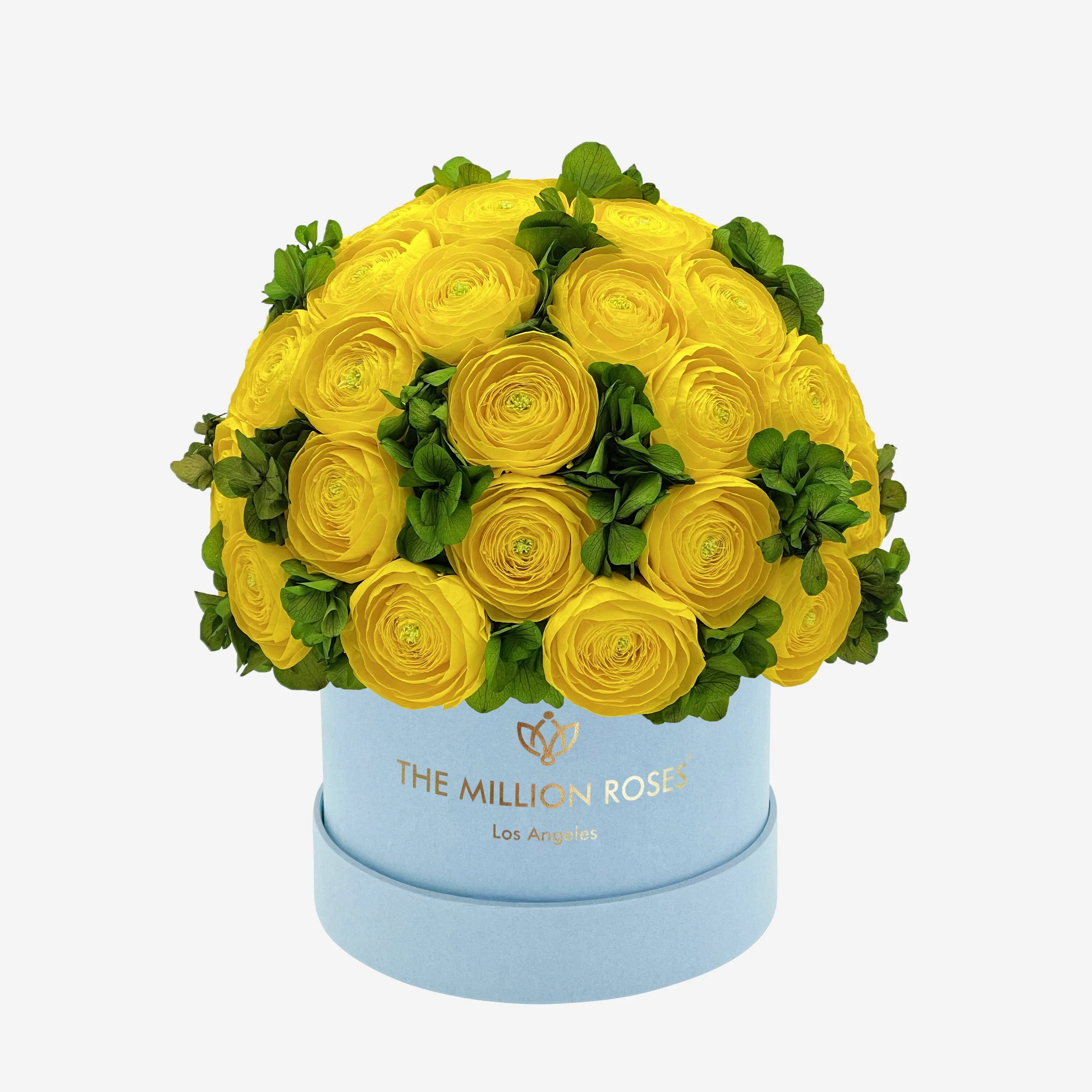 Classic Light Blue Suede Box | Yellow Persian Buttercups & Green Hydrangeas