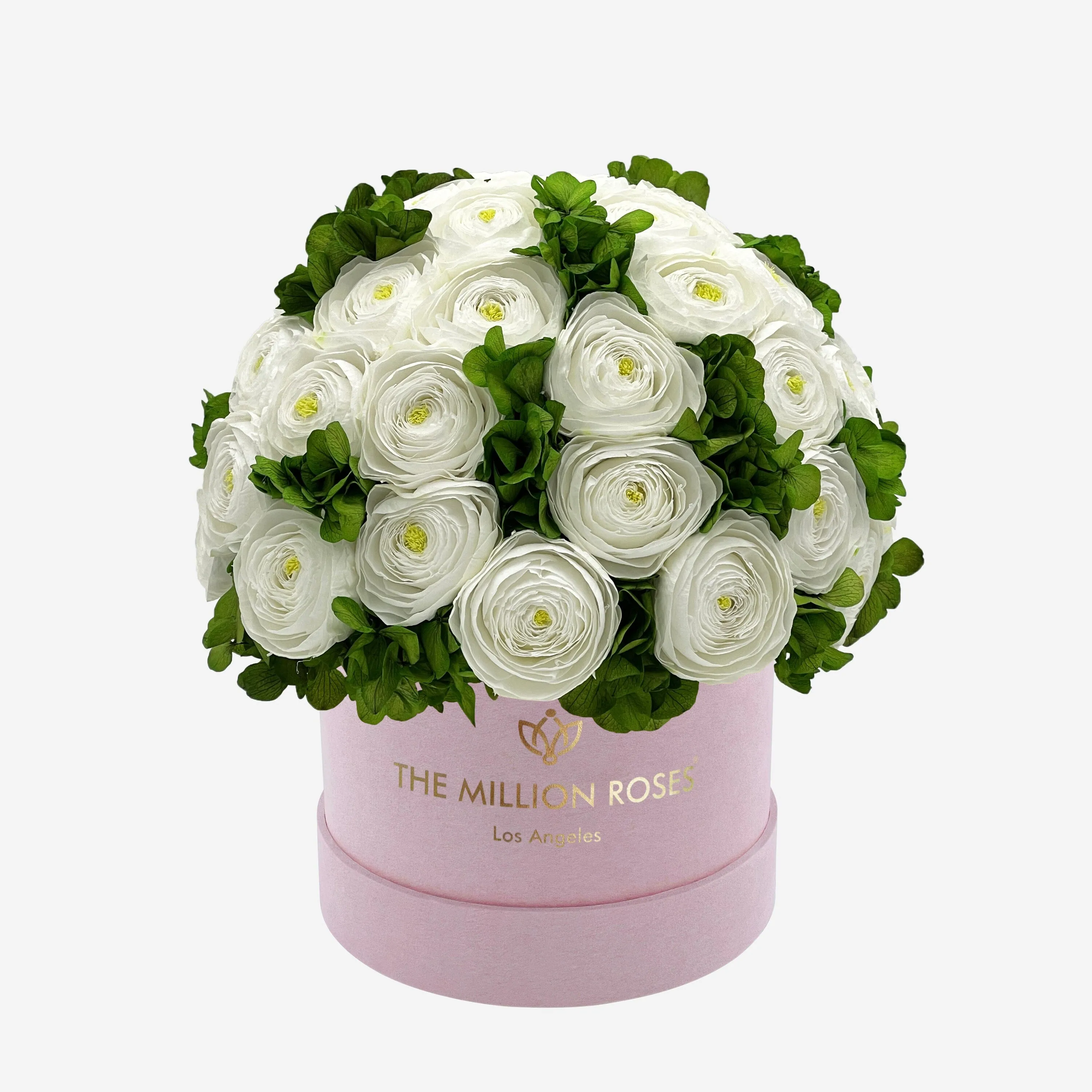 Classic Light Pink Suede Box | White Persian Buttercups & Green Hydrangeas