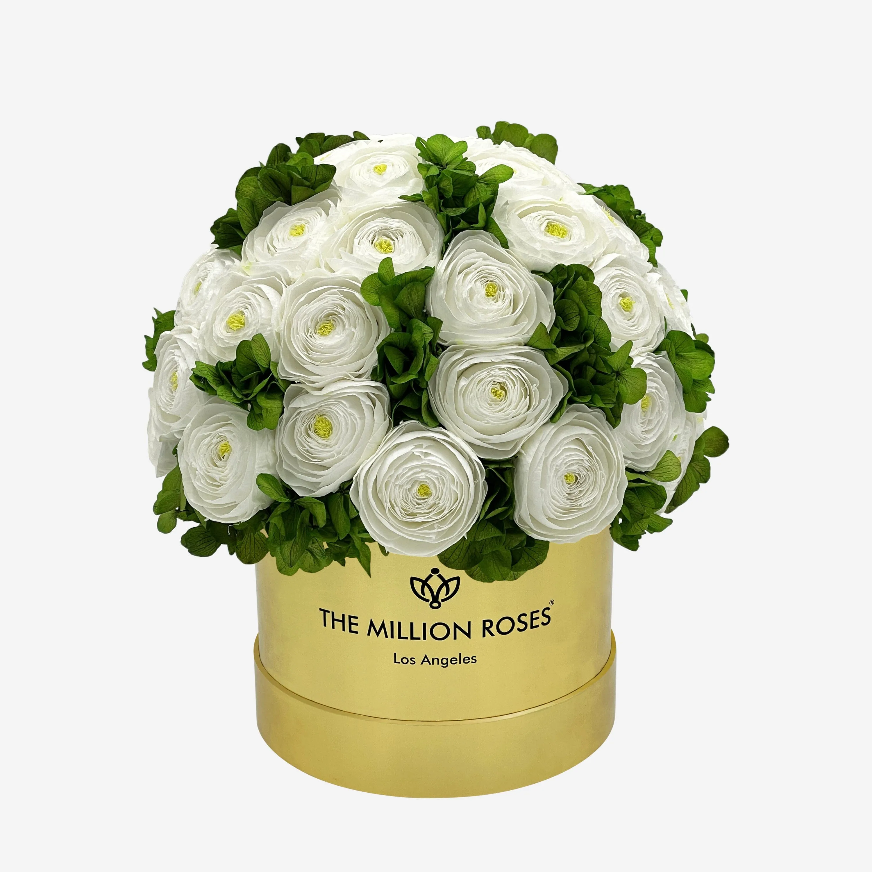 Classic Mirror Gold Box | White Persian Buttercups & Green Hydrangeas