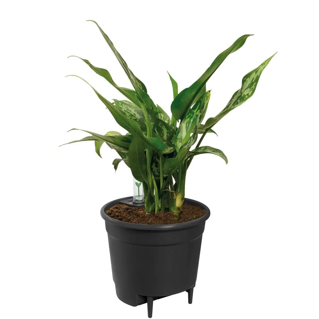 elho Self Watering Insert