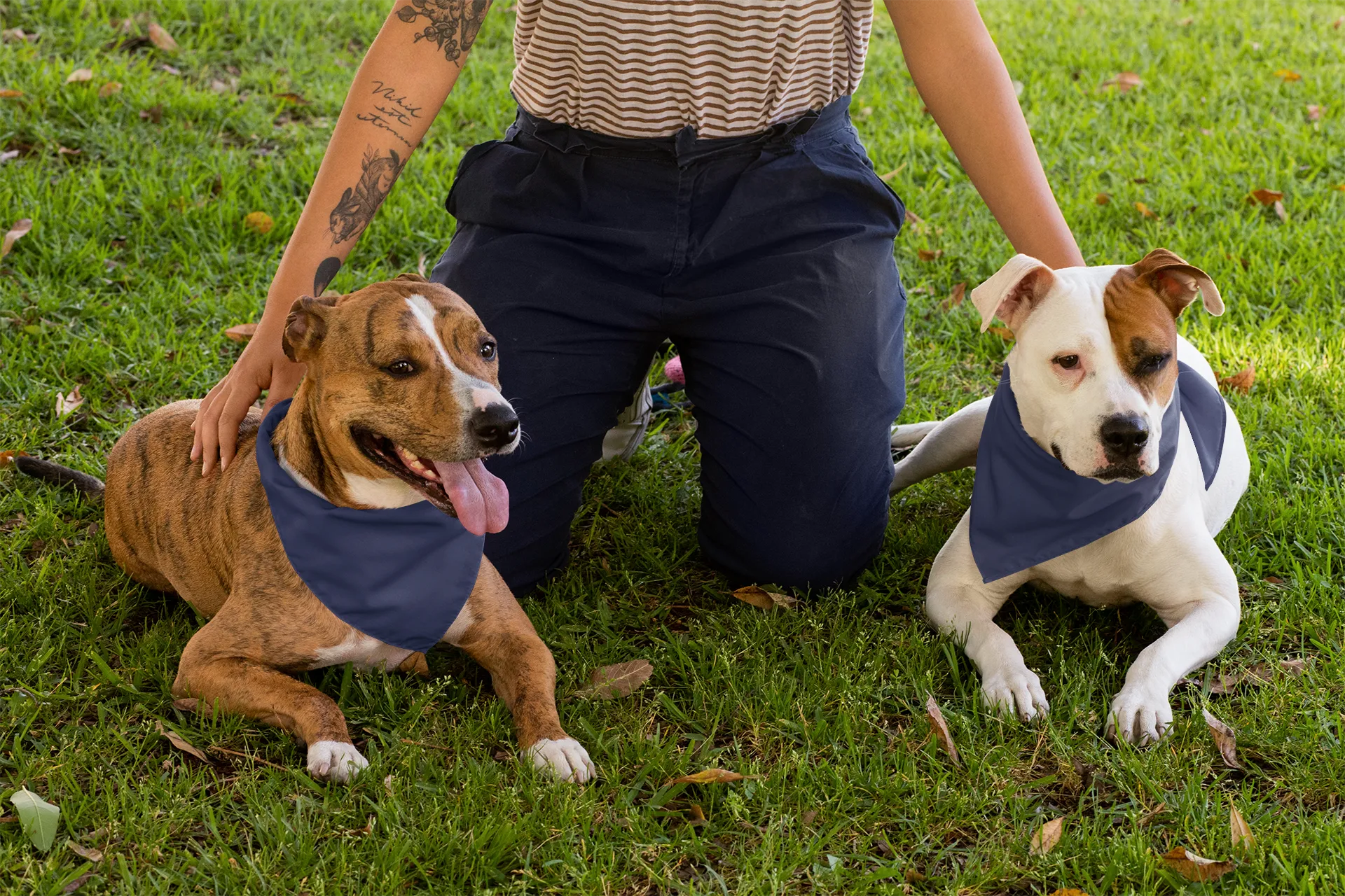 Navy Robe & Swaddle & Dad T-Shirt & Pet Bandana Set