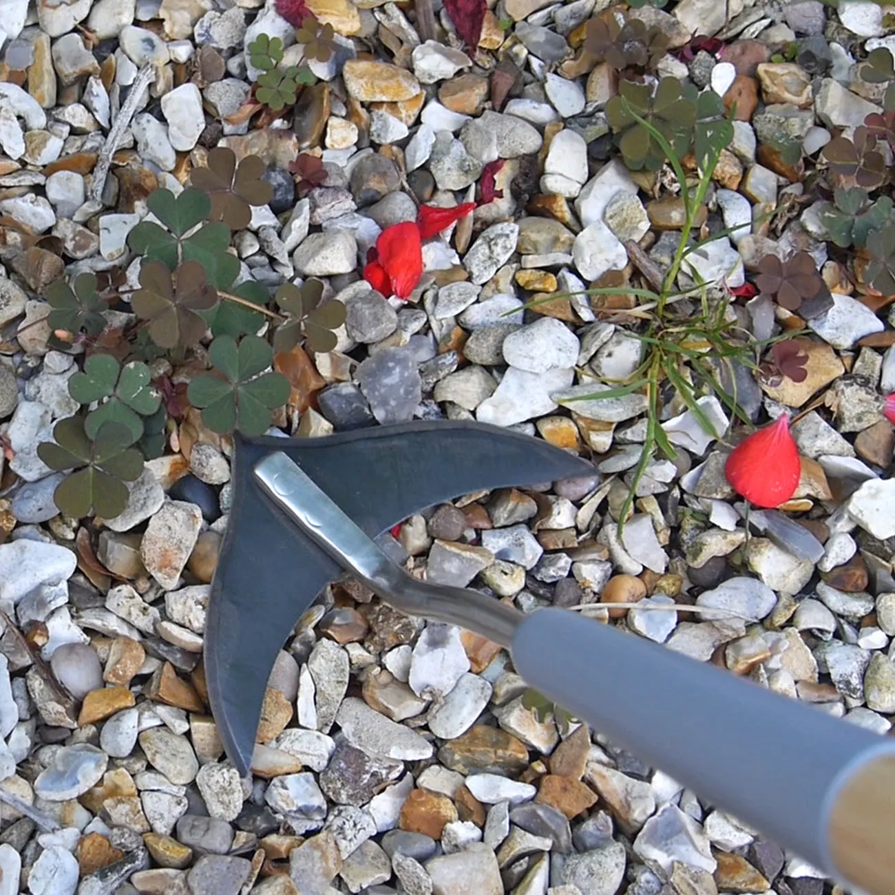 Short Handled Weed Slice