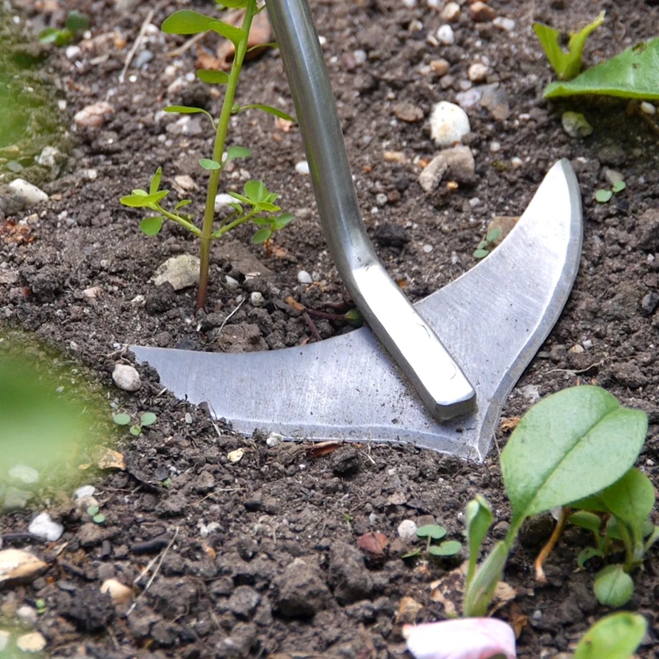 Short Handled Weed Slice