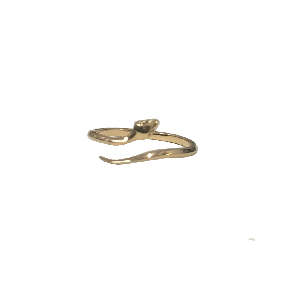 Simple Adjustable Snake Ring