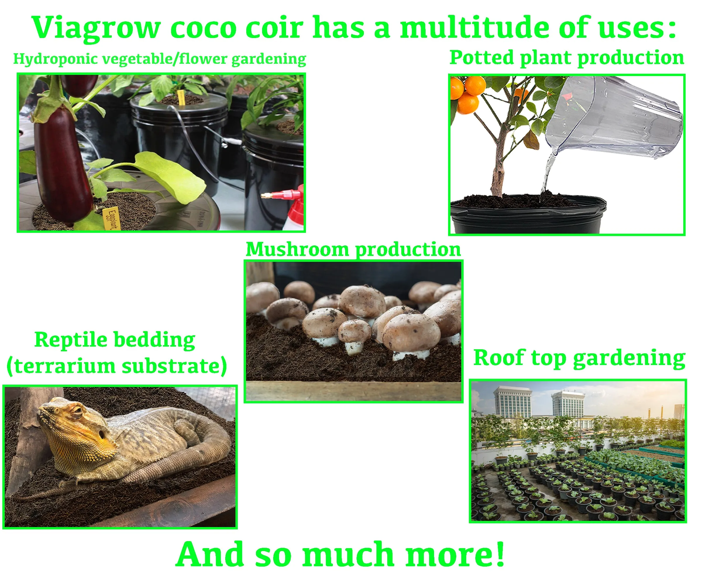 Viagrow 1.5CU. FT. (50L) Coconut Coir Soilless Grow Media Bag, Loose (Pallet of 65)